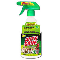 Ants Gone